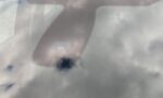 PXL_20240611_124741160