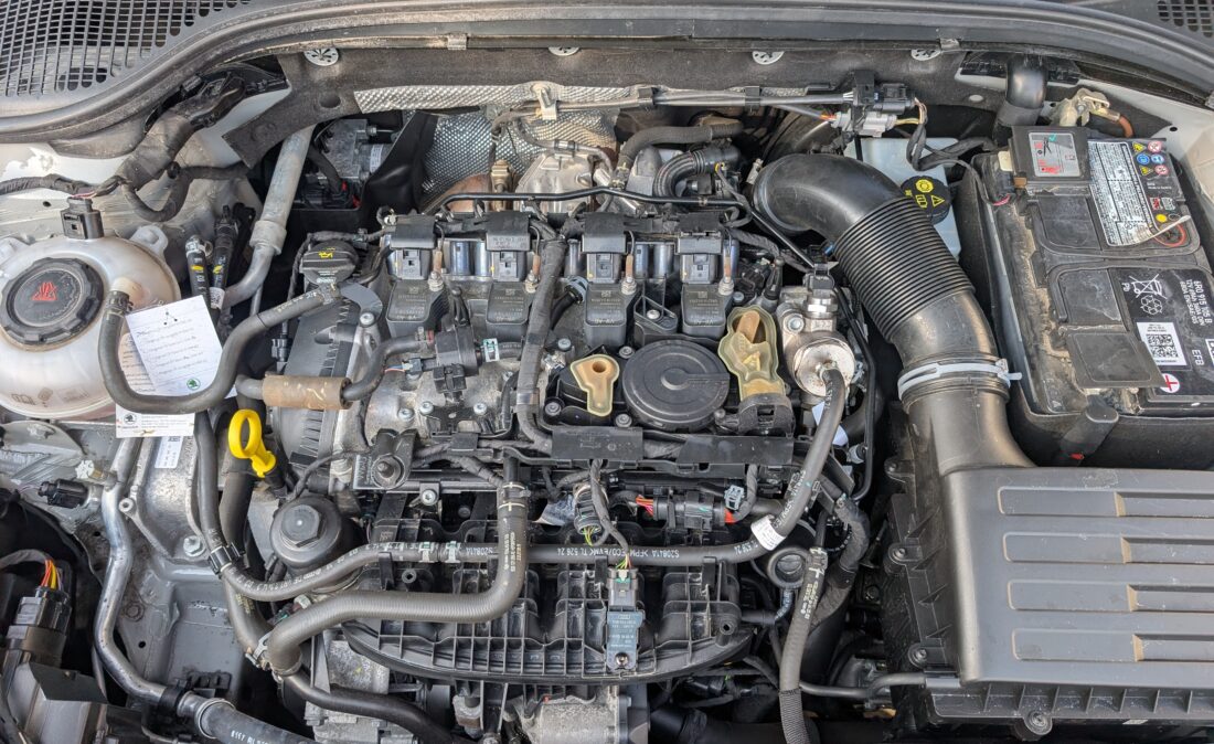 PXL_20260311_084929366