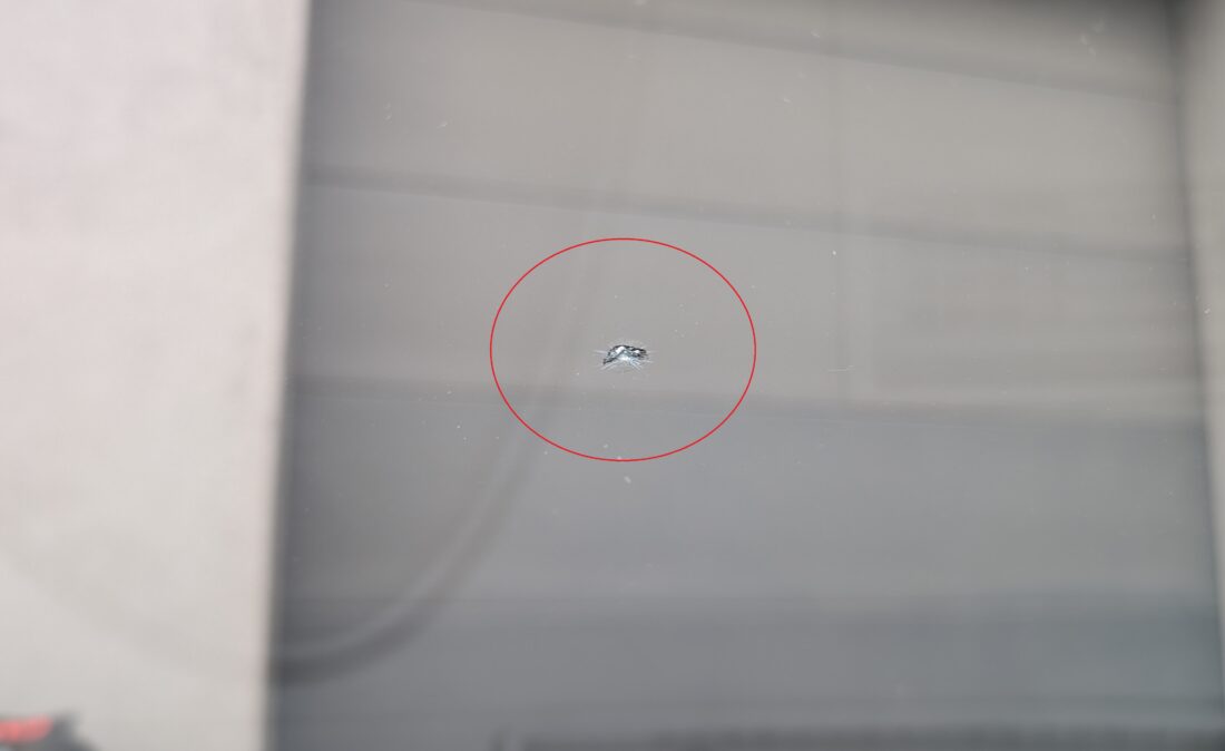 PXL_20260330_060033083